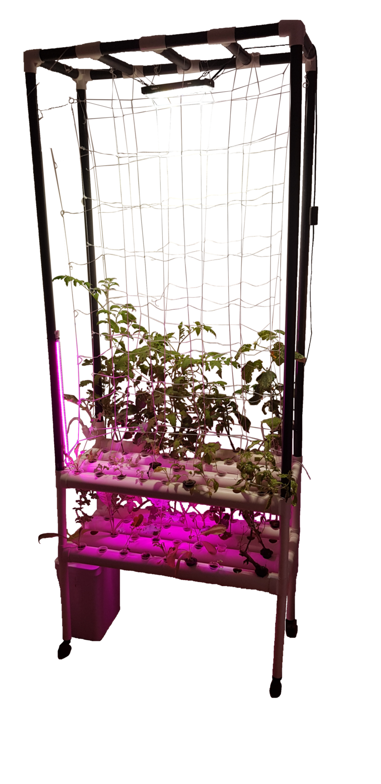 Home Hydroponic systems